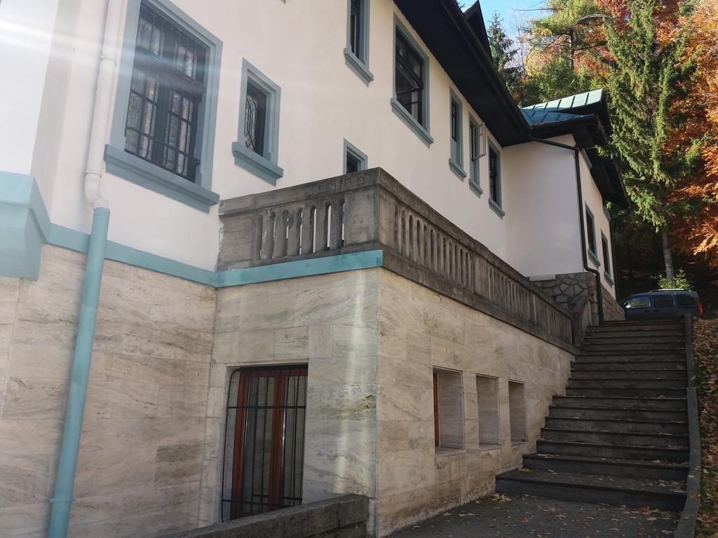 Hotel Tantzi Σινάια Εξωτερικό φωτογραφία