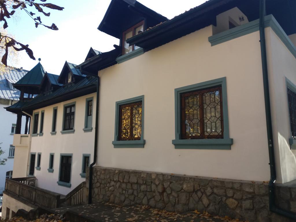 Hotel Tantzi Σινάια Εξωτερικό φωτογραφία